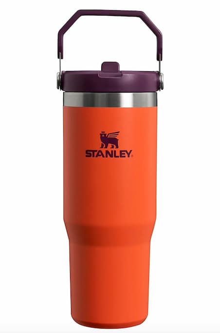 Stanley The IceFlow 30 Oz Classic Flip Straw Tumbler